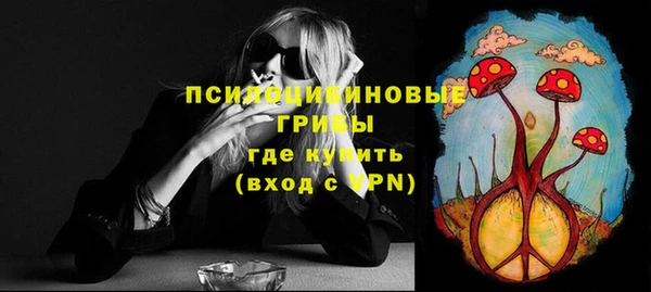 трава Горнозаводск