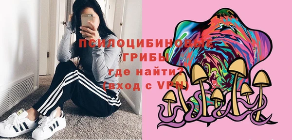 марки lsd Горняк