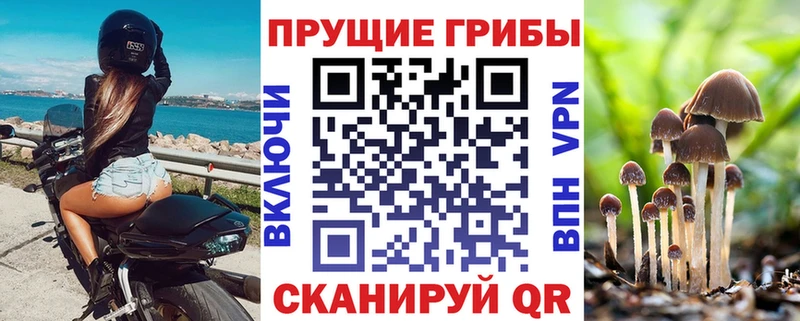 Галлюциногенные грибы прущие грибы  Купить закладки  Покачи 